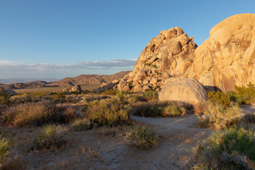 Obraz premium Joshua Tree National Park