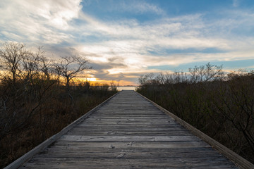 Obraz premium Boardwalk leading towards a sunset in Assateague Island 