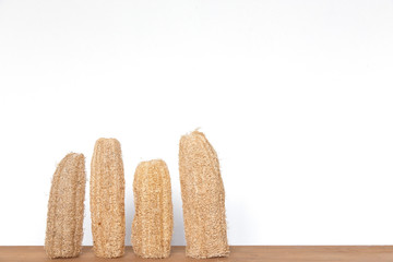 luffa sponge on white background.