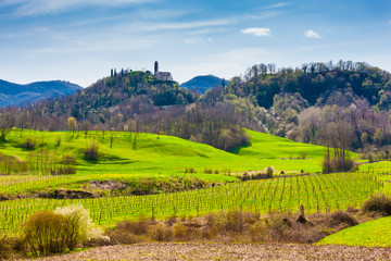 Fototapeta na wymiar Monfumo hills in Italy