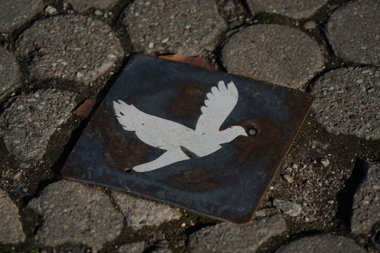 Friedenstaube