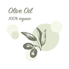 Fototapeta premium Olives arrangements with olive branches and fruits for Italian cuisine design or extra virgin oil food or cosmetic product packaging wrapper. Hand drawn Illustration in vector.