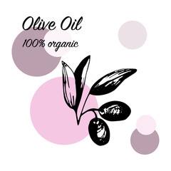 Olives arrangements with olive branches and fruits for Italian cuisine design or extra virgin oil food or cosmetic product packaging wrapper. Hand drawn Illustration in vector.