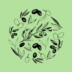 Olives arrangements with olive branches and fruits for Italian cuisine design or extra virgin oil food or cosmetic product packaging wrapper. Hand drawn Illustration in vector.