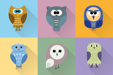 Set of flat owls on colourful backgrounds.