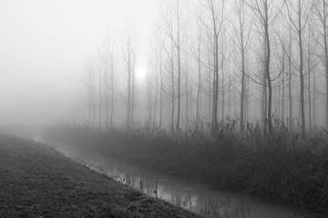 Natural park of the Sile river in Italy