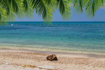 Tropical sea with stone on center of beach and coconut tree on the beach.