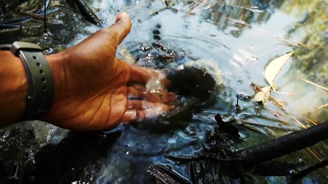 Fisherman Releasing A Fish