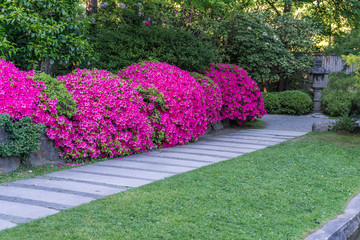Flower Garden Sidewalk 5