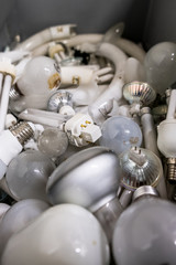 Electric waste, Disposal of used lamps. Old spent bulbs in a trash can.