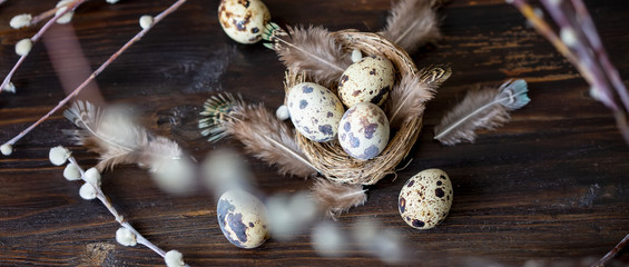 quail eggs, feathers, willow branches on a wooden table. Vintage effect