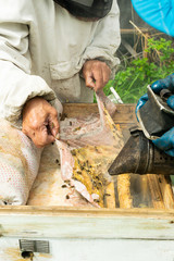 A beekeeper checks the beehive and honey frames of bees. Beekeeping work on the apiary. Selective focus.