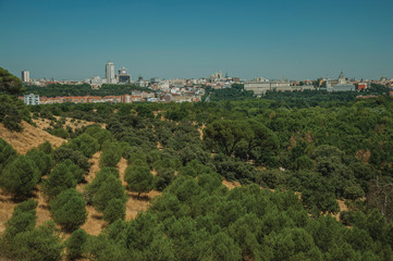 Building skyline with treetops seen from the Teleferico Park of Madrid