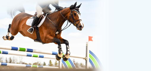 Horse clears a jump during a show jumping competition with empty space