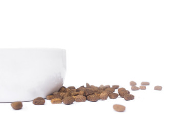 dog food cat in white plate on white background