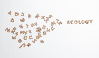The word ecology among many letters on a white background. Top view