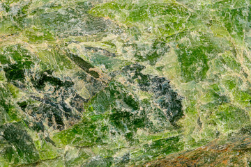 Obraz premium Macro Diopside mineral stone on a white background