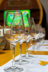 Professional wine tasting, sommelier course, clean empty wine glasses for different wines