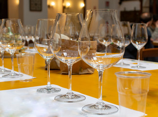 Professional wine tasting, sommelier course, clean empty wine glasses for different wines