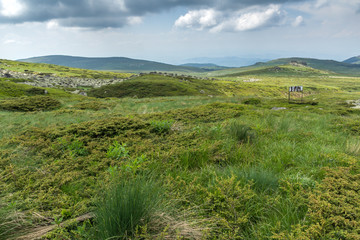Summer Landscape with green hills of Vitosha Mountain, Sofia City Region, Bulgaria