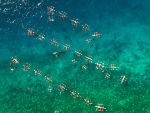 Aerial view of tourists swimming with whale sharks, Oslob, Philippines.