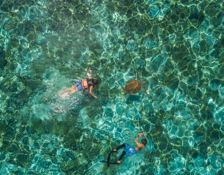 Aerial view of two people snorkeling with turtle in Panagsama Beach, Philippines.
