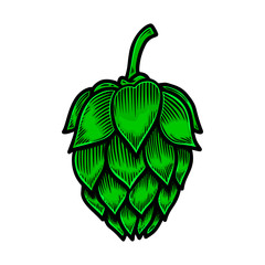 Beer hop illustration. Design element for logo, label, sign, poster, card, banner, flyer. Vector illustration