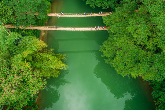 Aerial view of Sipatan Twin Hanging Bridge, Loboc, Philippines.