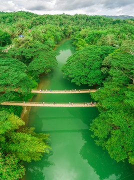 Aerial view of Sipatan Twin Hanging Bridge, Loboc, Philippines.