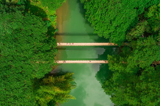 Aerial view of Sipatan Twin Hanging Bridge, Loboc, Philippines.