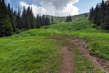 Summer Landscape with green hills of Vitosha Mountain, Sofia City Region, Bulgaria