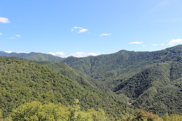 Obraz premium Panorama