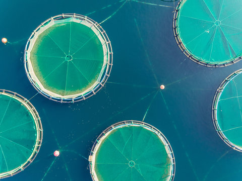 Close up aerial view of circular fish farm pools in the beautiful Mediterranean sea, Greece