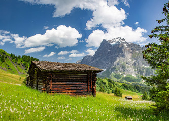 Swiss beauty, chalet on meadows above Grindelwald,Bernese Oberland,Switzerland,Europe