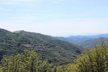 Panorama