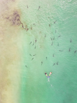 Aerial view of people scuba diving in La Jolla underwater park in San Diego, USA.