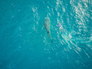 Aerial view of a man swimming with the Whale sharks on Mafia Island, Tanzania.