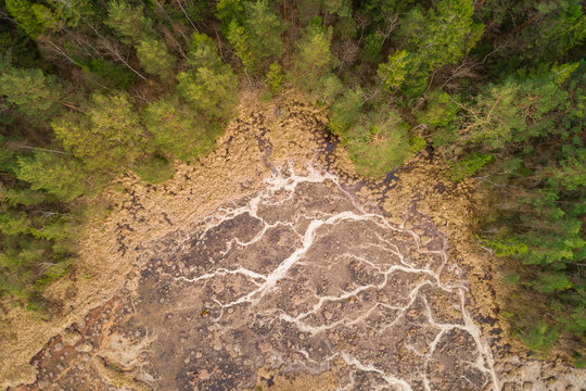 Aerial view of forest surrounding frozen parts of lake Valgjarv, also known as White lake, in Estonia