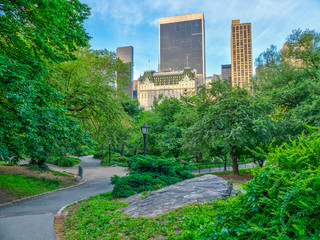 Central Park in spring