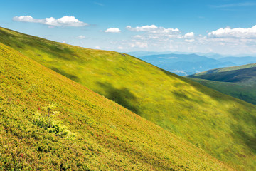 green hill and slopes in summertime. beautiful bright scenery with grassy meadows on a sunny day. fluffy clouds on the blue sky. mountain ridge in the distance on the horizon