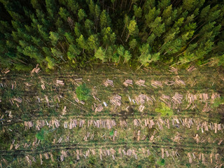 Aerial view of deforestation in Estonia.