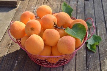 cestino di albicocche sul tavolo dell'orto