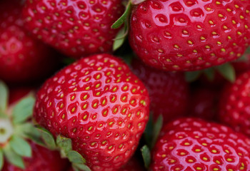 macro color picture as background photo with ripe strawberries, frame filling