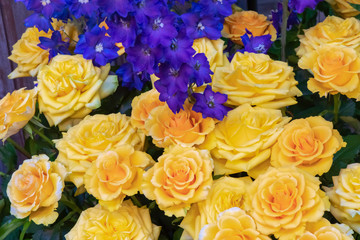 Strauß mit gelben Rosen und blauem Rittersporn