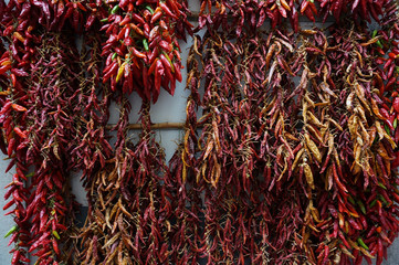 Naklejka premium bundles of dried chili pepper