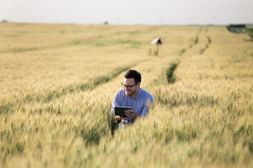 Naklejka na ściany i meble Farmer with tablet in barley field