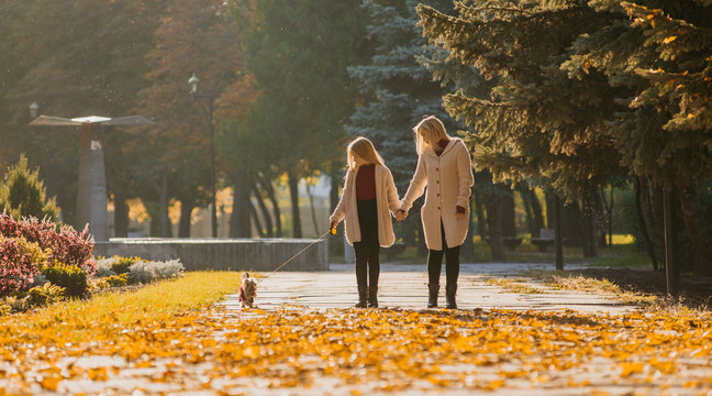 Family woman and her daughter are walking in the autumn park with their dog Yorkshire Terrier
