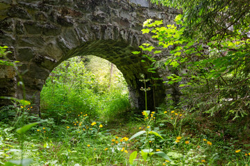 Natur unter dem Steinviadukt
