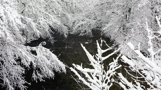 Bayas or Baias River, Gorbeia Natural Park, Alava, Basque Country, Spain, Europe