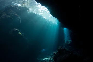 Licht daalt neer in de duisternis van een verzonken grot op de Salomonseilanden. Grotten en spelonken bederven koraalriffen, aangezien kalksteen gemakkelijk kan worden geërodeerd. © ead72